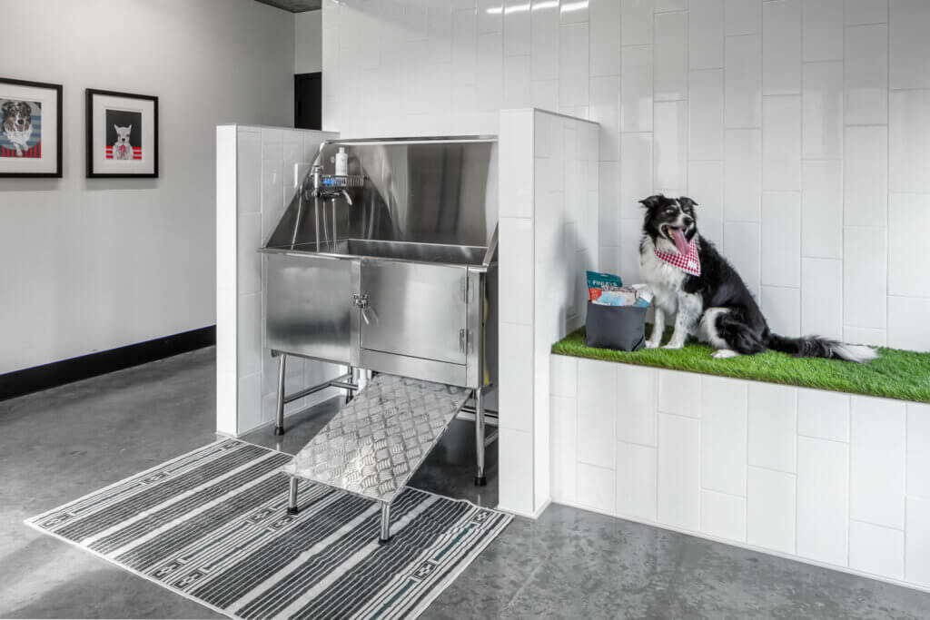 Rafter Apartments furnished by Atmosphere Commercial Interiors